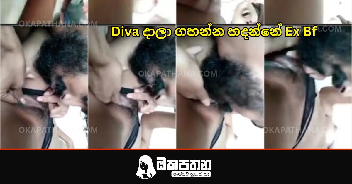 කොල්ලා කිම්බට දිව දානවා හිරි වැටෙනකම්